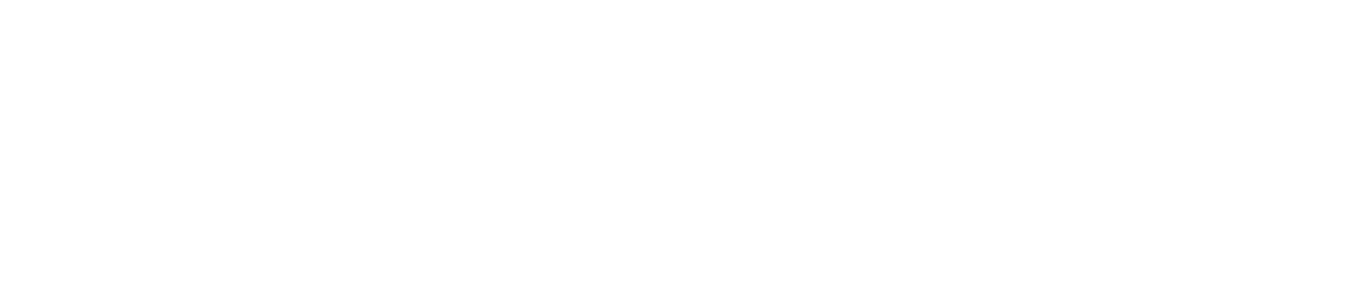 Apple Authorized Reseller · Apple Consultant Network · Apple Professional Services
